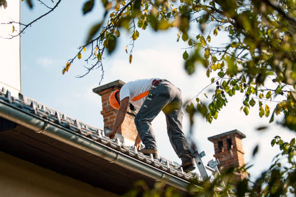 Best Roof Leak Repair  in Mazomanie, WI