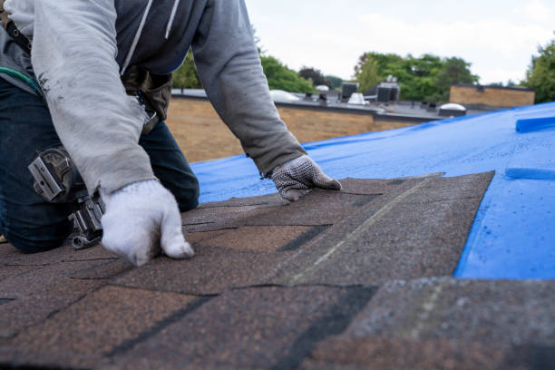 Best Flat Roof Repair Services  in Mazomanie, WI